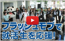 企業就職説明会フラッシュモブ動画